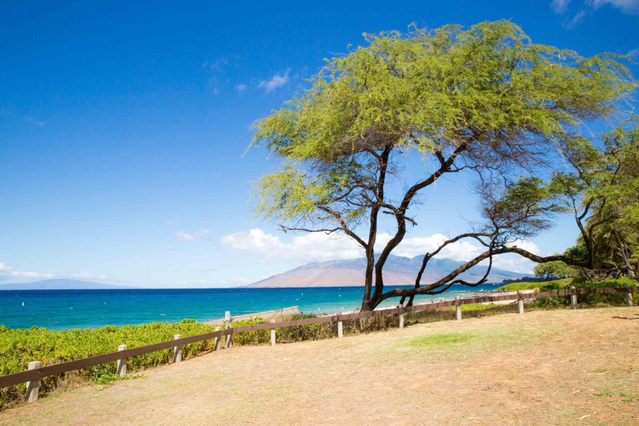 Hale Kamaole 254 Villa Wailea  Buitenkant foto