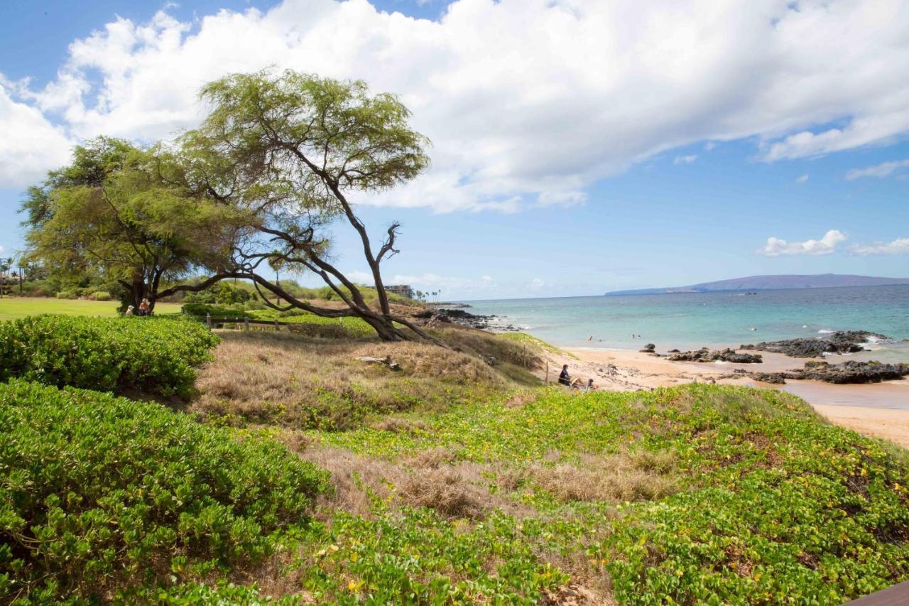 Hale Kamaole 254 Villa Wailea  Buitenkant foto